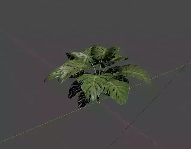 Mosteira Deliciosa Modern Plant Outdoor 4K Textures