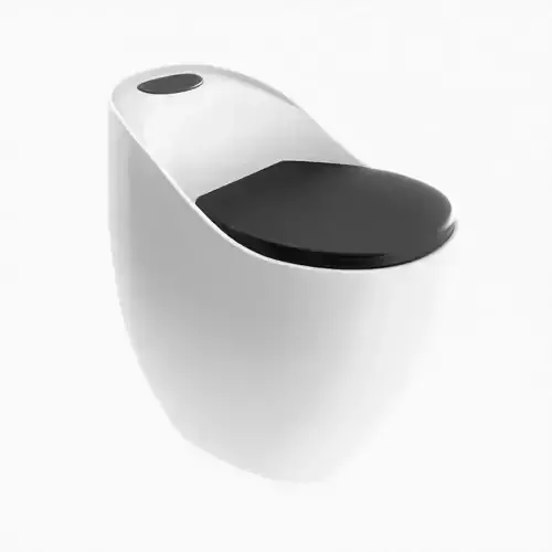 Modern sanitary ware toilet bowl