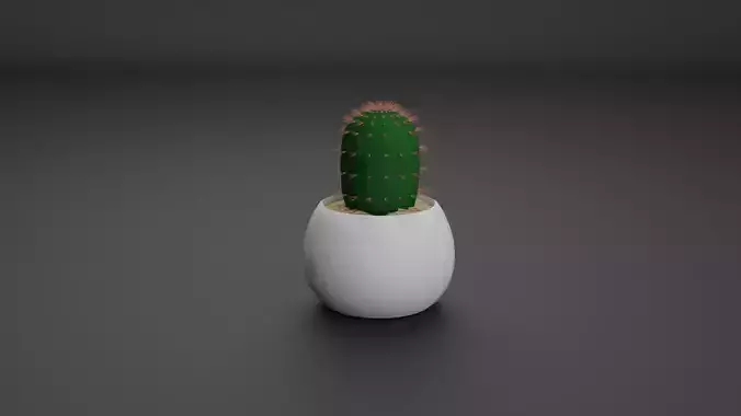 Cactus Helianthocereus Terscheckii 3D model