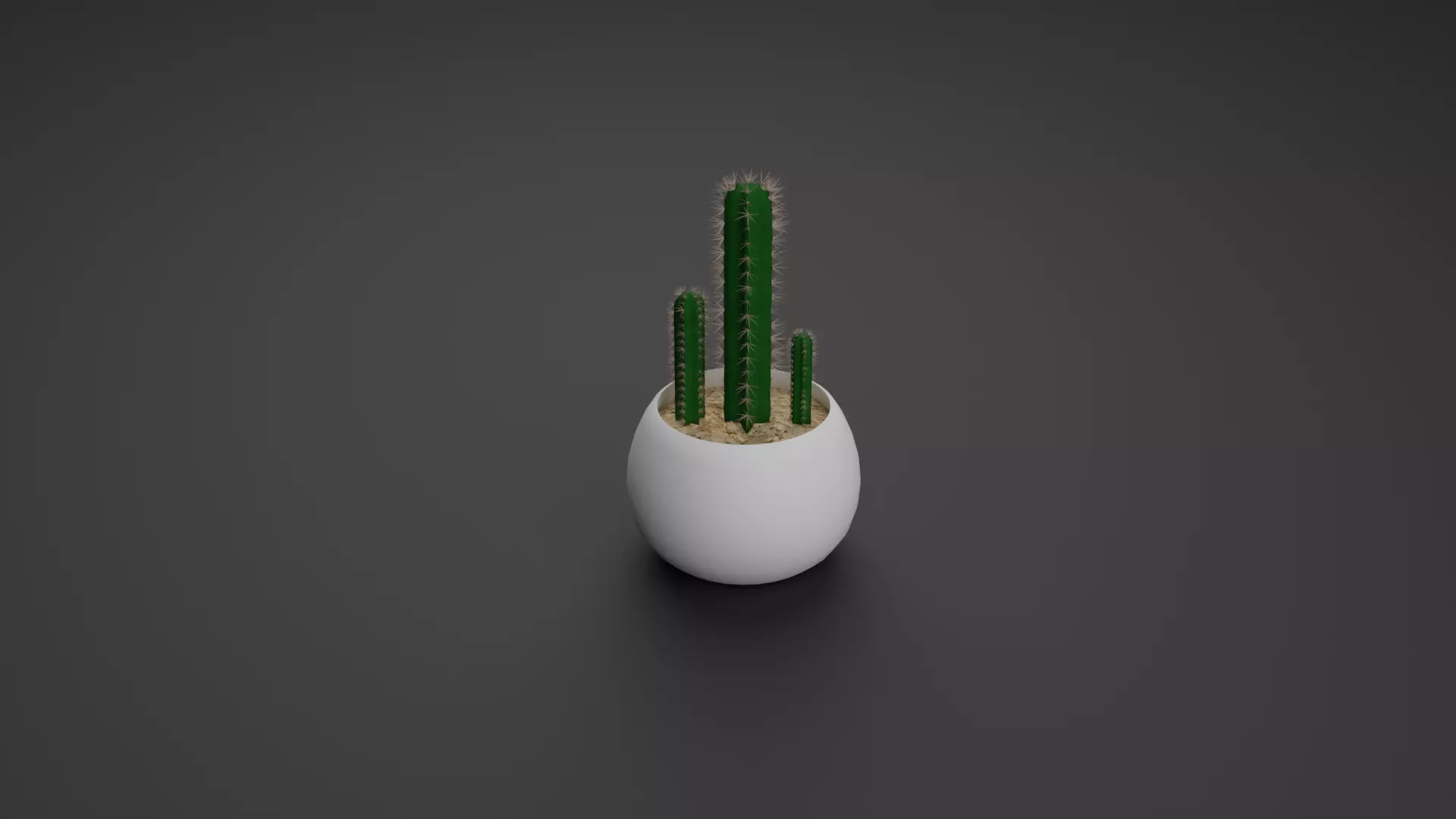 Cactus Pilosocereus Pachycladus 3D model_0