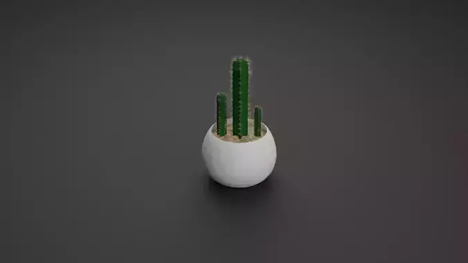 Cactus Pilosocereus Pachycladus 3D model