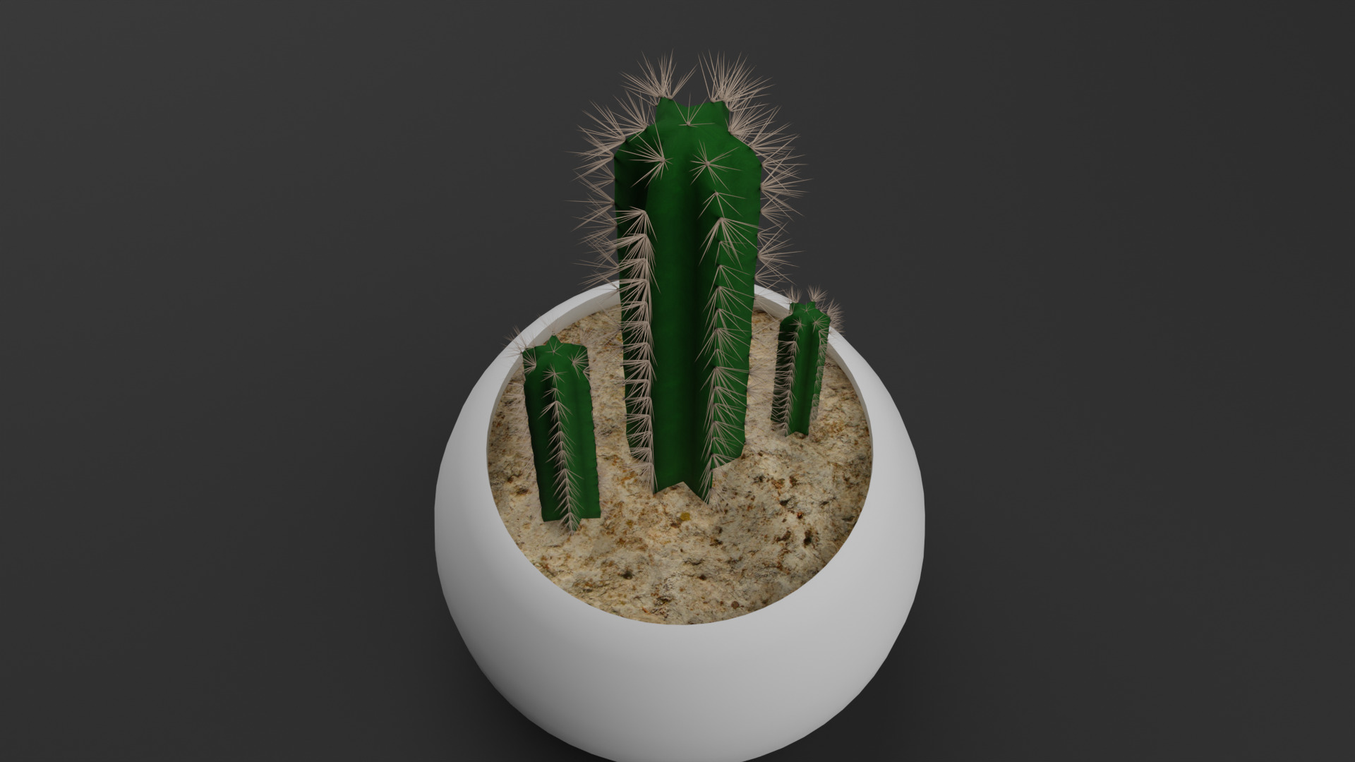 Cactus Pilosocereus Pachycladus 3D model_9