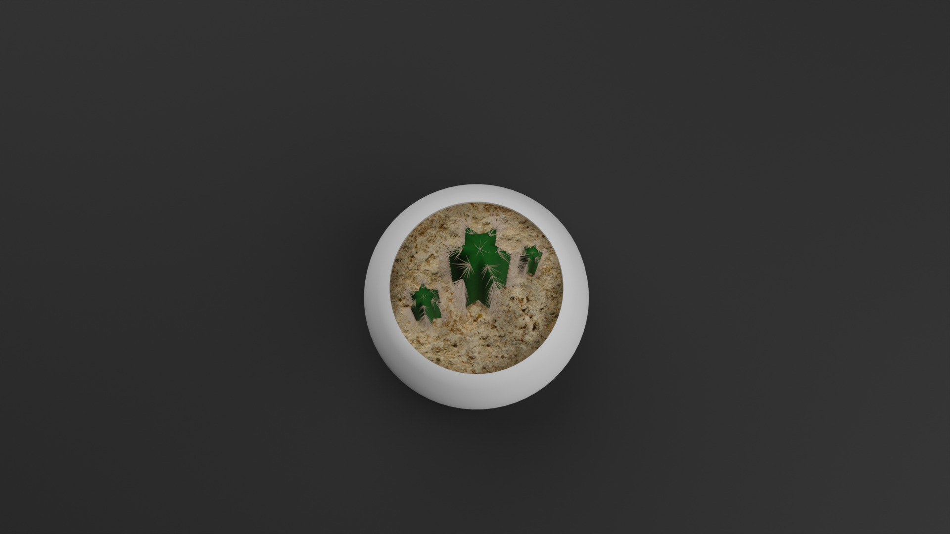 Cactus Pilosocereus Pachycladus 3D model_8