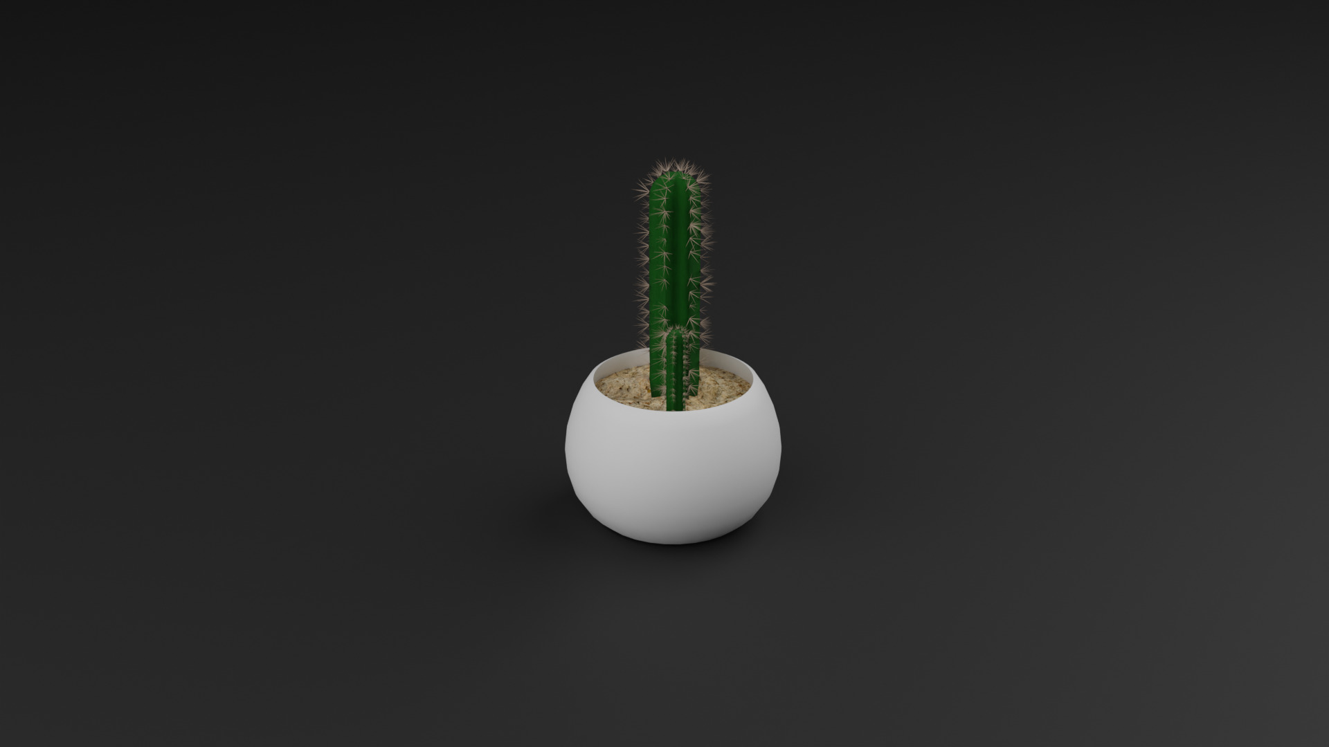 Cactus Pilosocereus Pachycladus 3D model_3