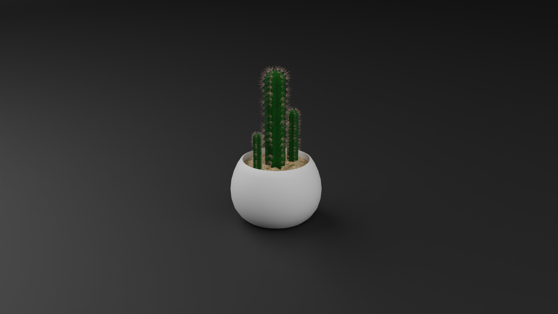 Cactus Pilosocereus Pachycladus 3D model_5