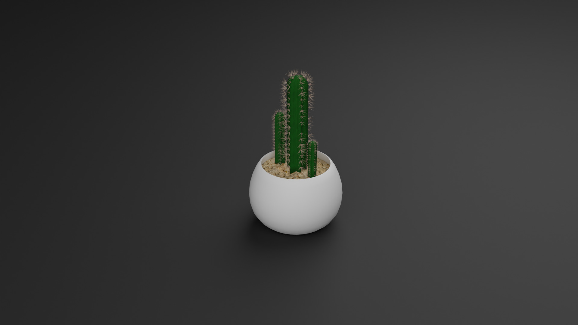 Cactus Pilosocereus Pachycladus 3D model_2