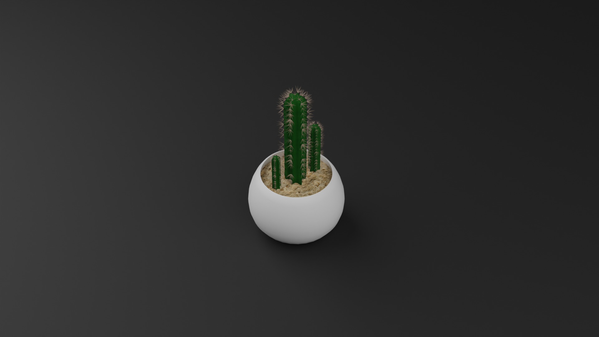 Cactus Pilosocereus Pachycladus 3D model_6