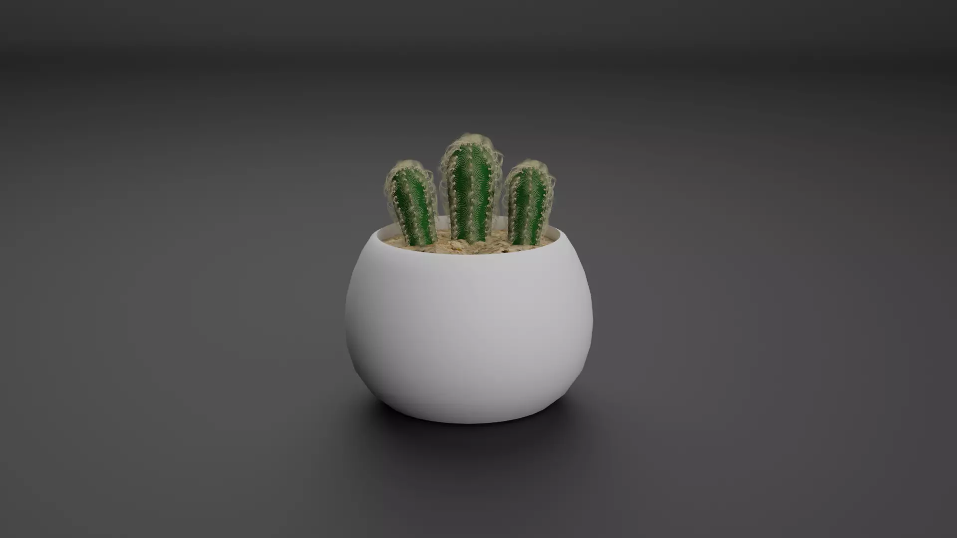 Cactus Mammillaria Elongata 3D model_0