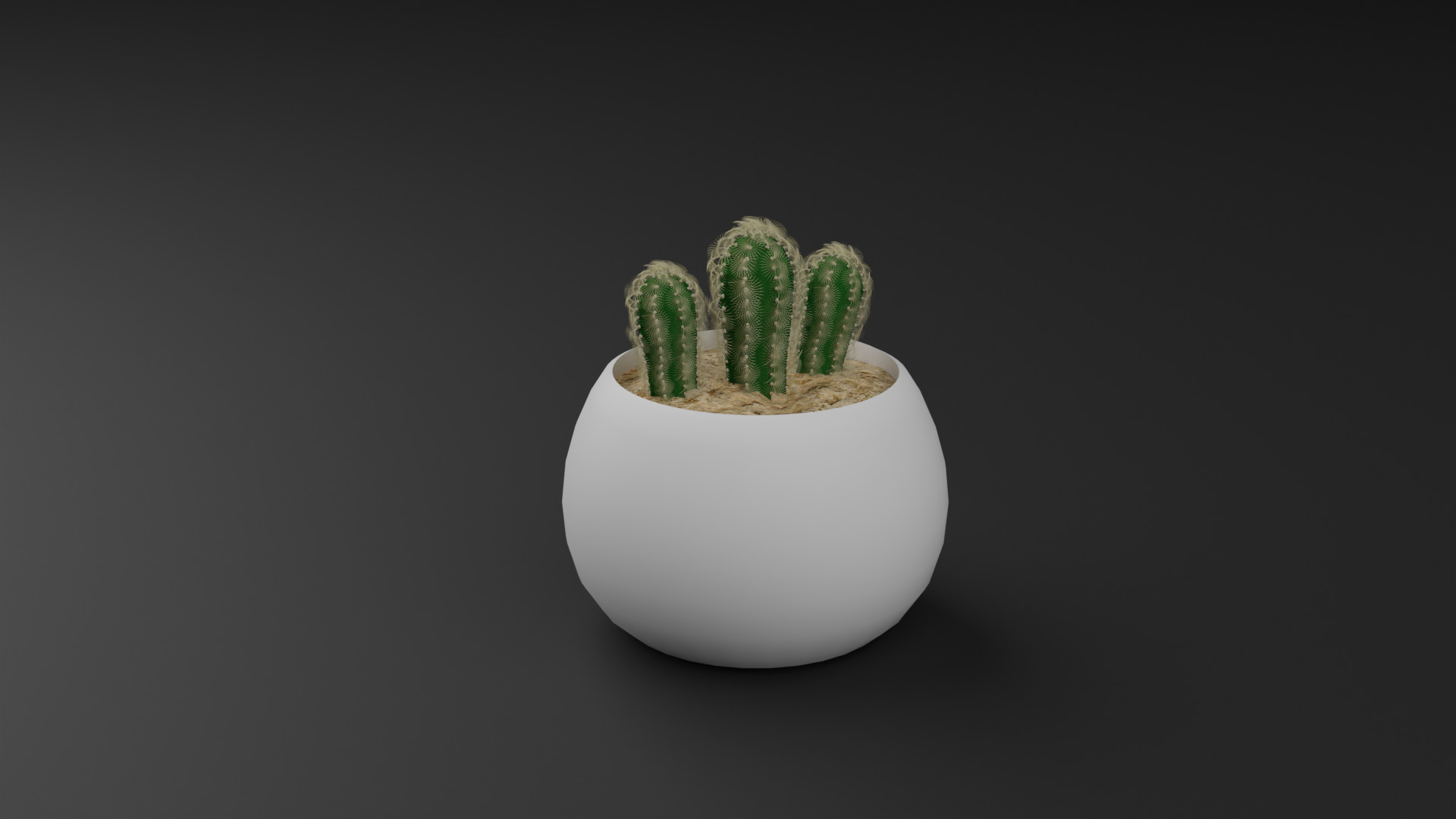 Cactus Mammillaria Elongata 3D model_6