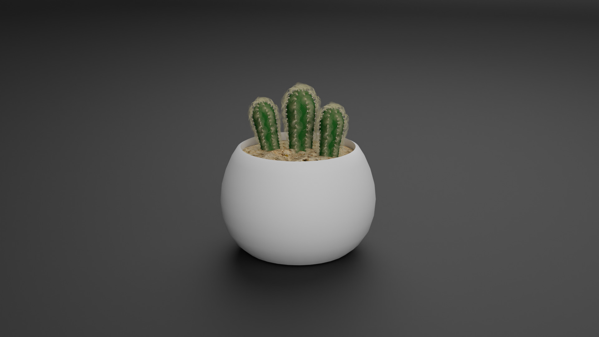 Cactus Mammillaria Elongata 3D model_1