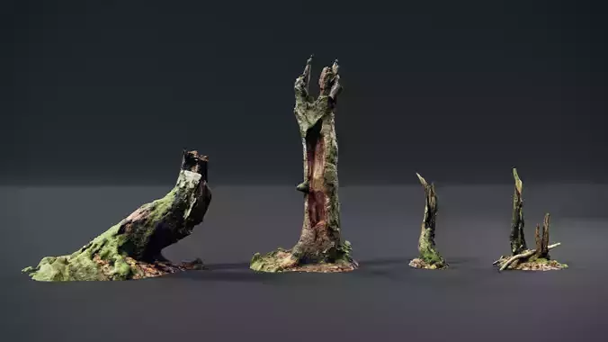 photoscanned tree trunks Free 3D model