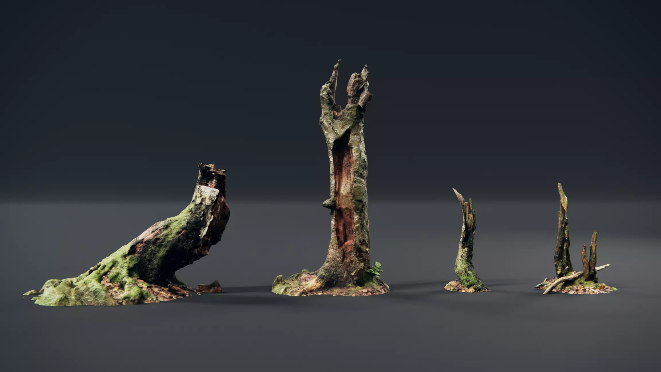 photoscanned tree trunks Free 3D model