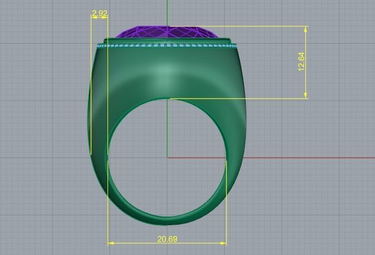 Ring N01256 3D print model_4