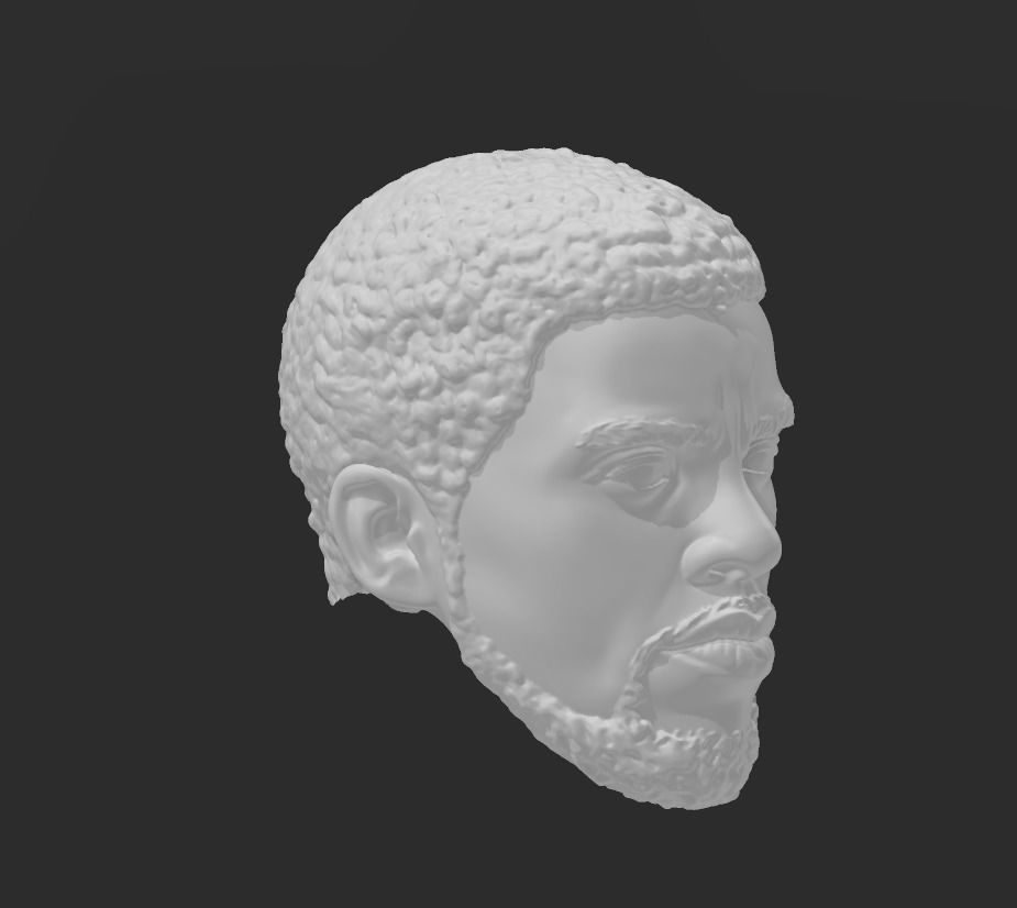 Black Panther - Chadwick Boseman headsculpt 3D print model_2