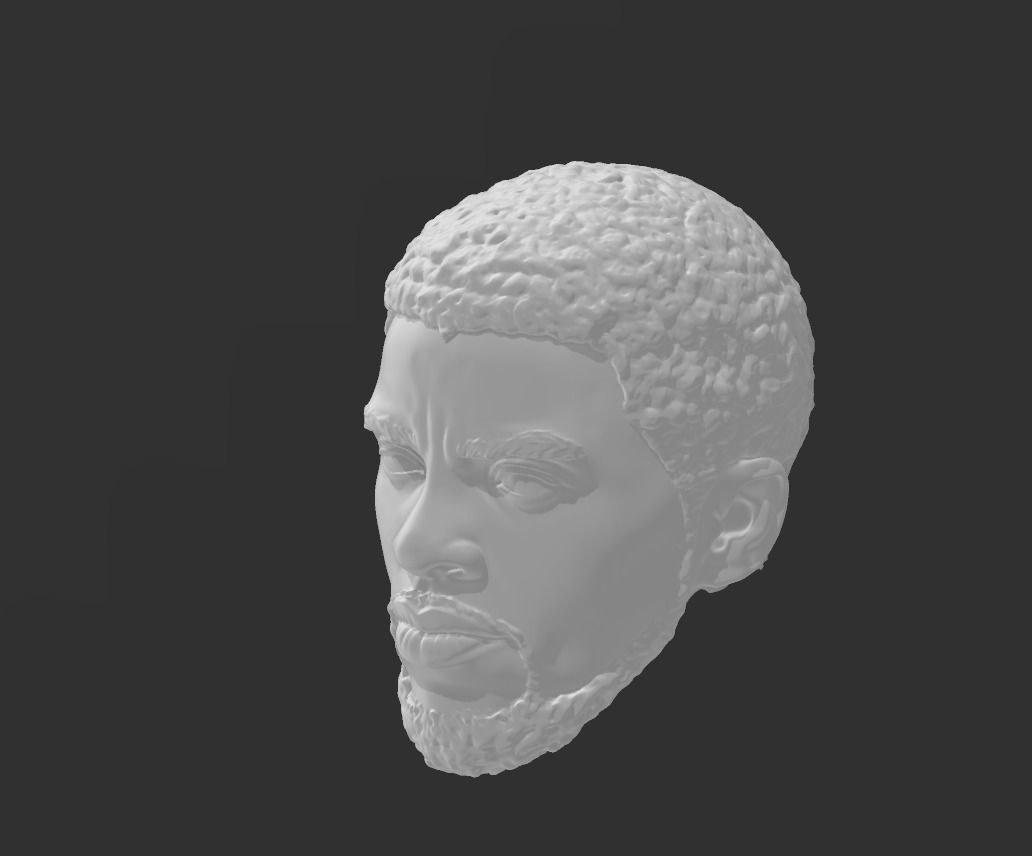Black Panther - Chadwick Boseman headsculpt 3D print model_1