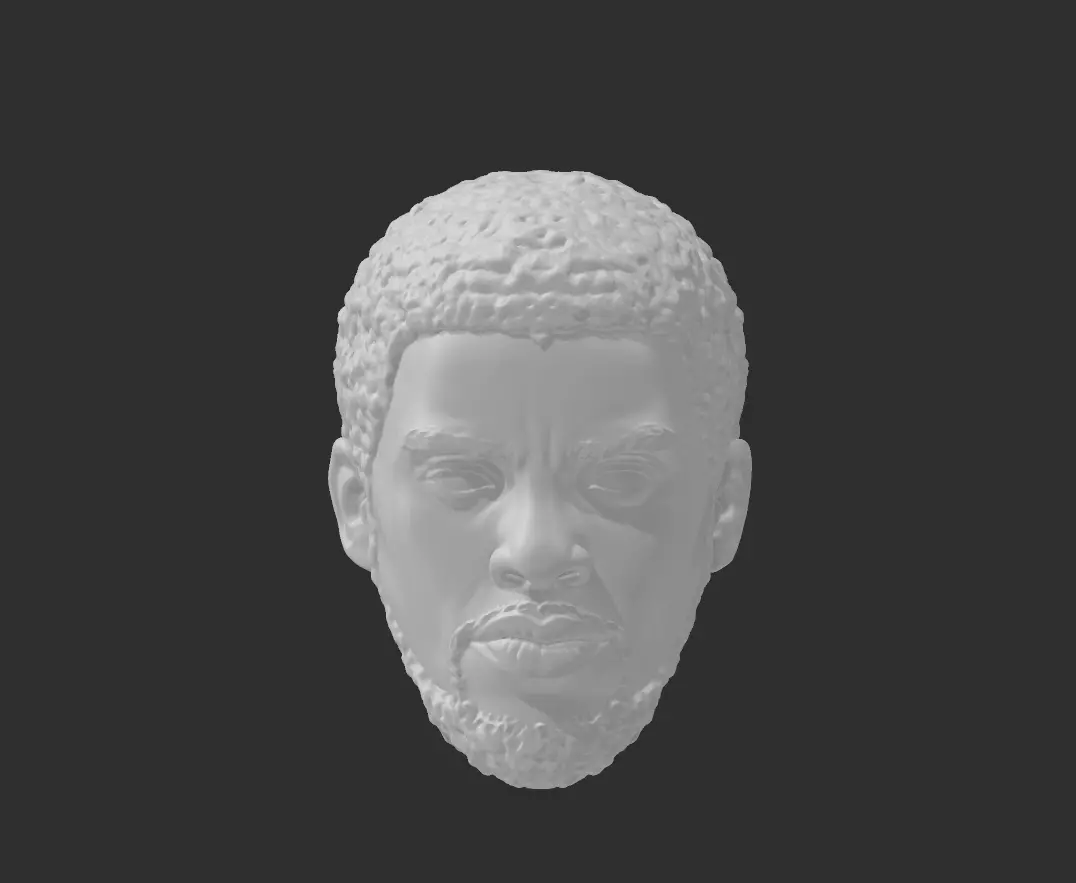 Black Panther - Chadwick Boseman headsculpt 3D print model_0