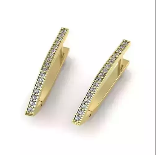 Earrings N01279