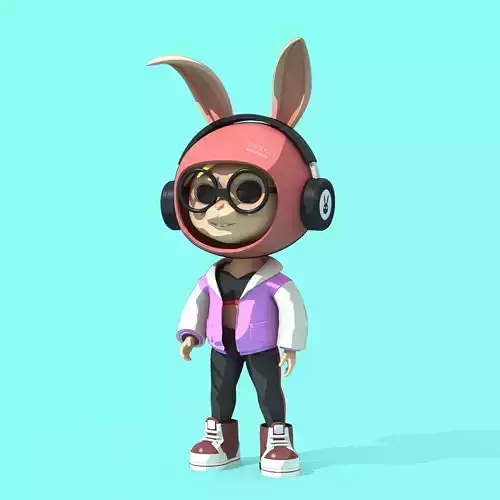 Bunny Collection 875