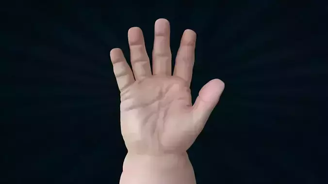 HAND-050 Baby Counting Animation