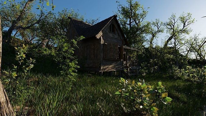 Abandoned cabin Scene 3D model 5