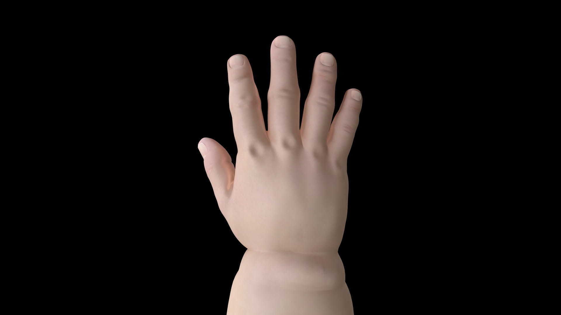 HAND12 Baby counting animation 3D model_2