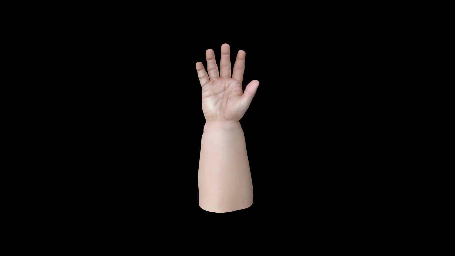 HAND12 Baby counting animation 3D model_3