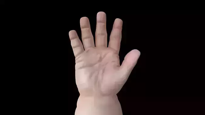 HAND12 Baby counting animation 3D model
