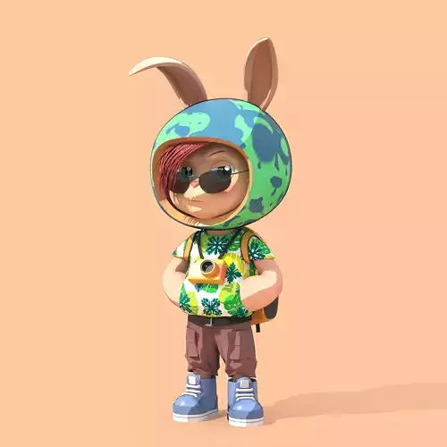 Bunny Collection 861