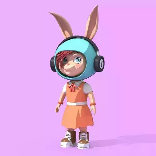 Bunny Collection 860