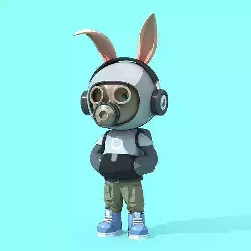 Bunny Collection 858