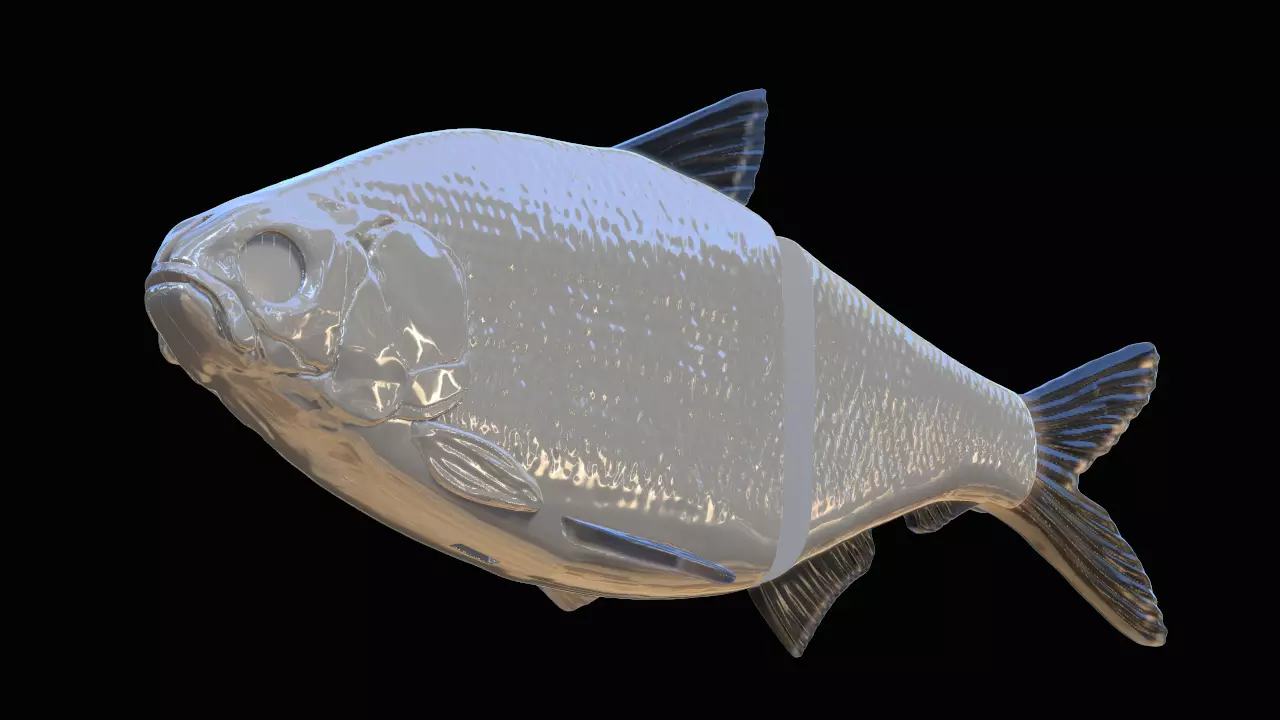Realistic swimbait Glidebait hard swimbait 3D print model_0