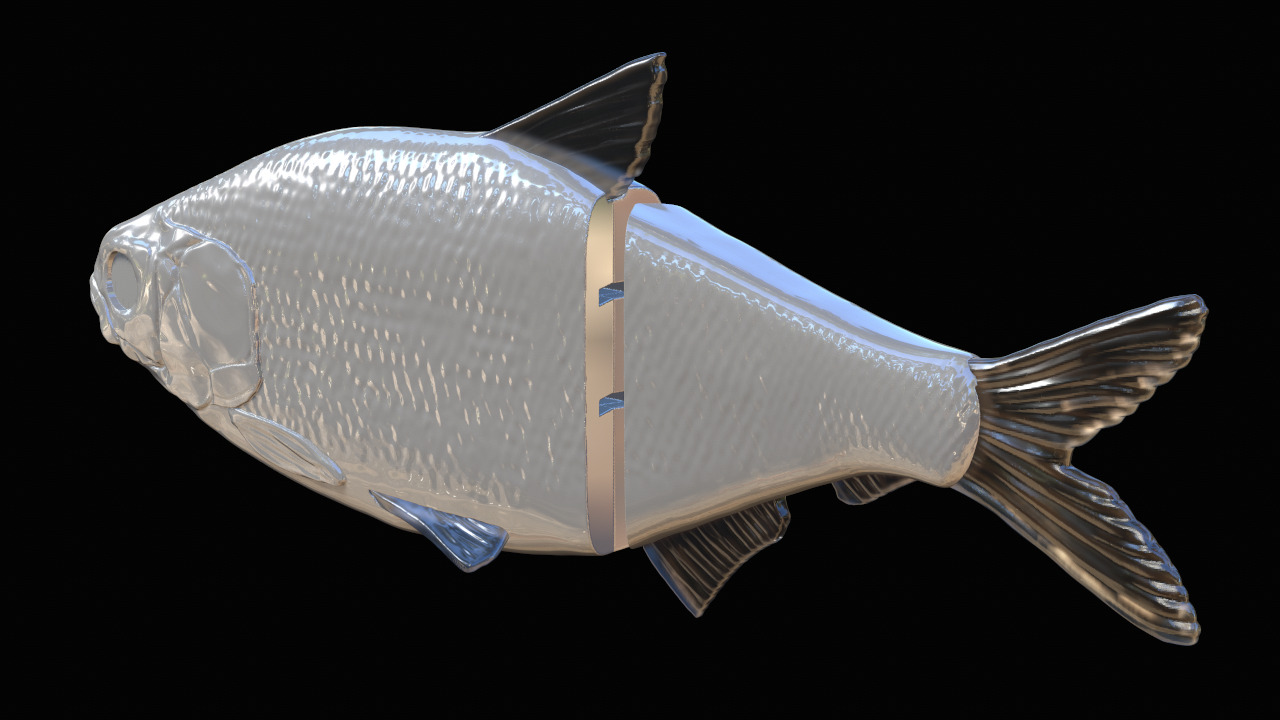 Realistic swimbait Glidebait hard swimbait 3D print model_3