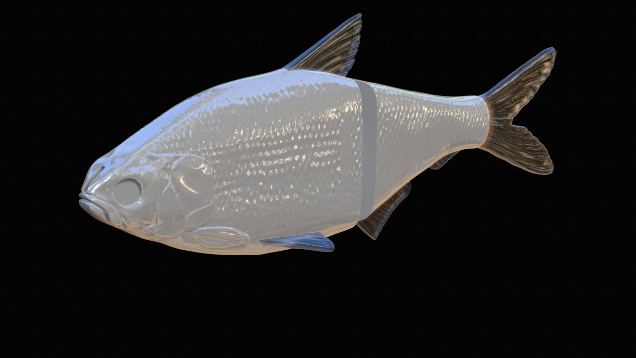 Realistic swimbait Glidebait hard swimbait 3D print model_1