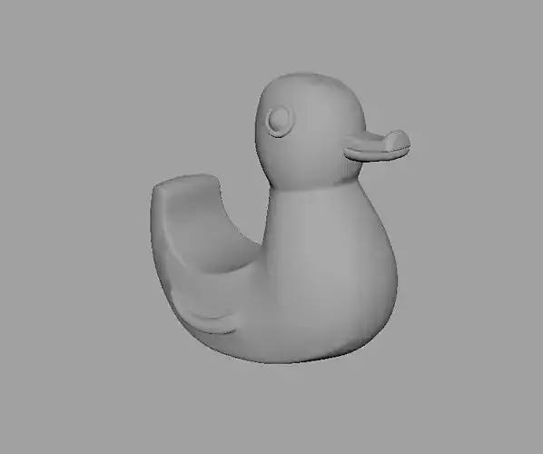 Toy Duck