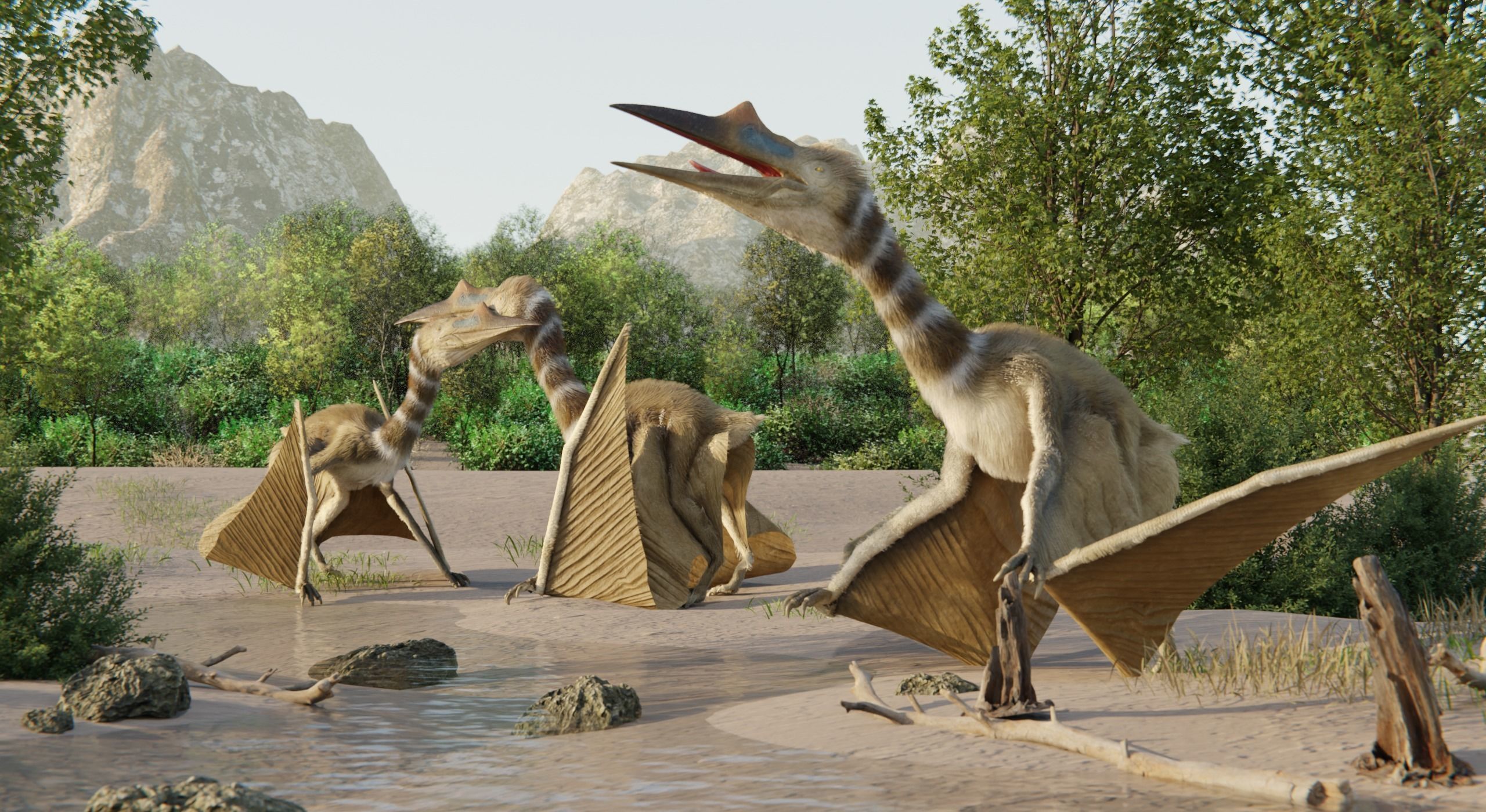 Monster Quetzalcoatlus - Prehistoric Dinosaur Low-poly 3D model_34