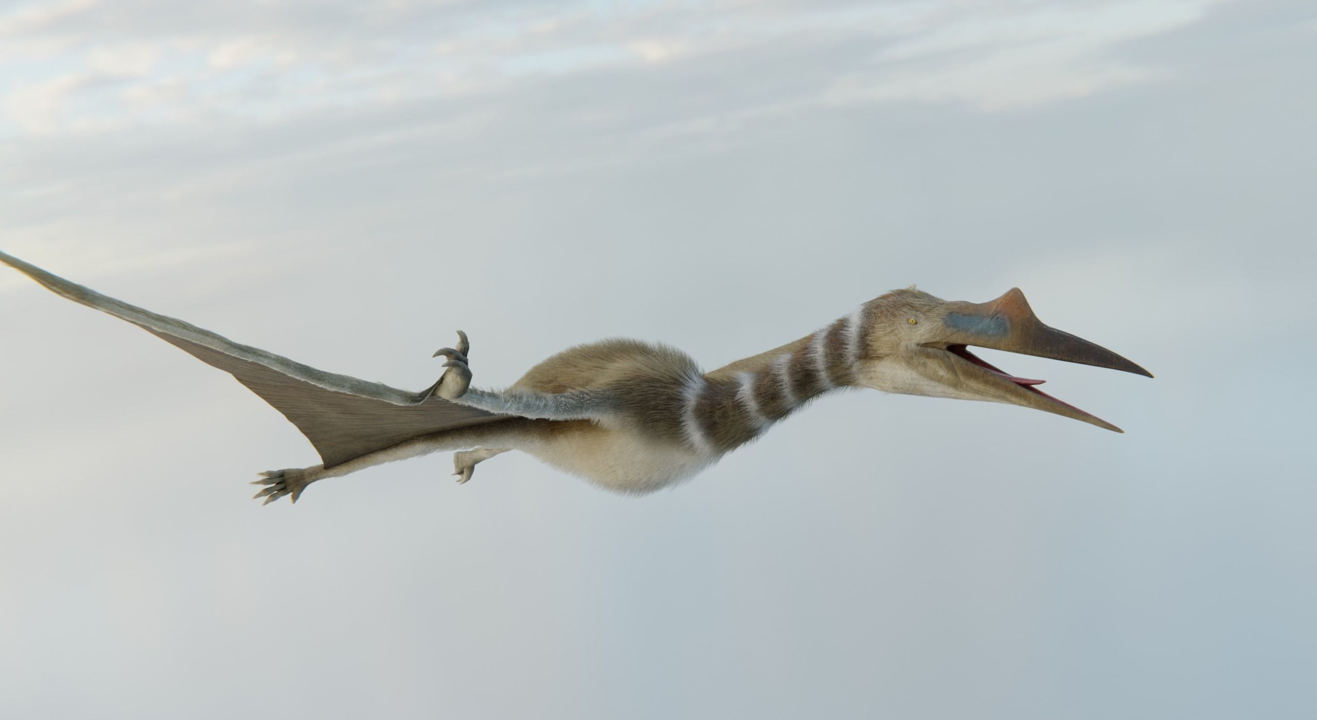 Monster Quetzalcoatlus - Prehistoric Dinosaur Low-poly 3D model_9