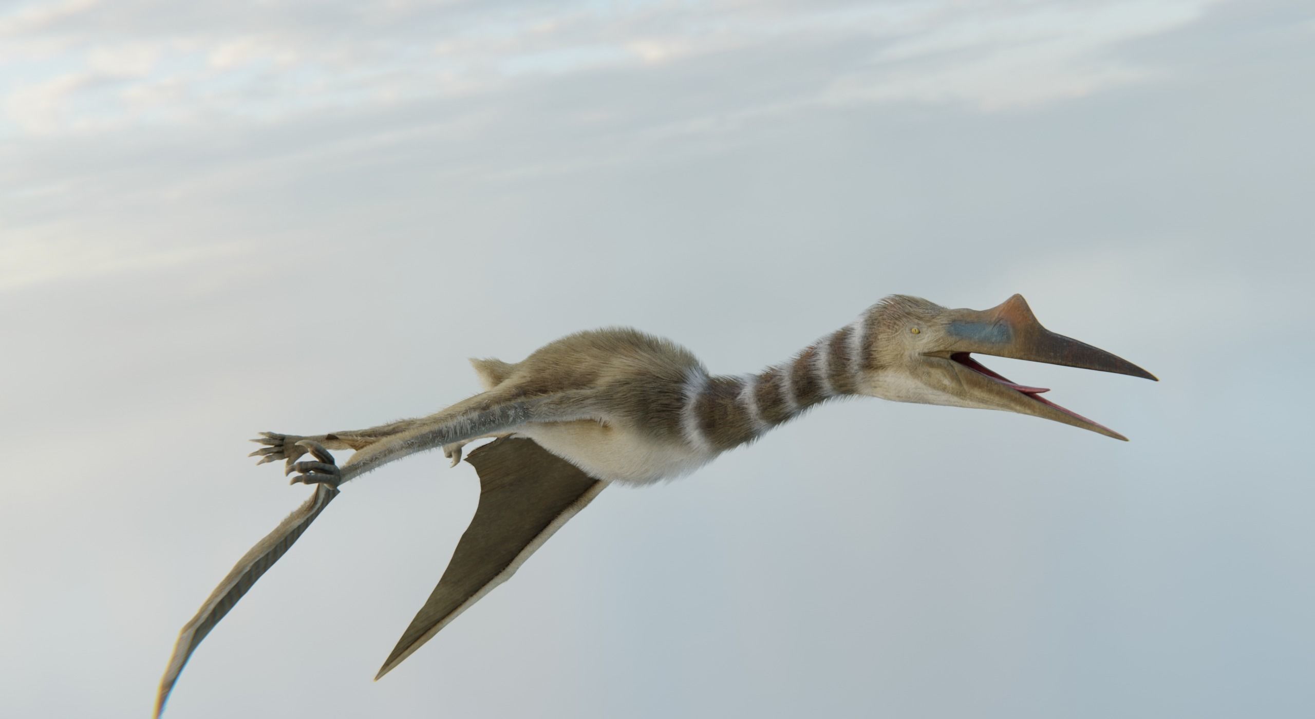 Monster Quetzalcoatlus - Prehistoric Dinosaur Low-poly 3D model_10