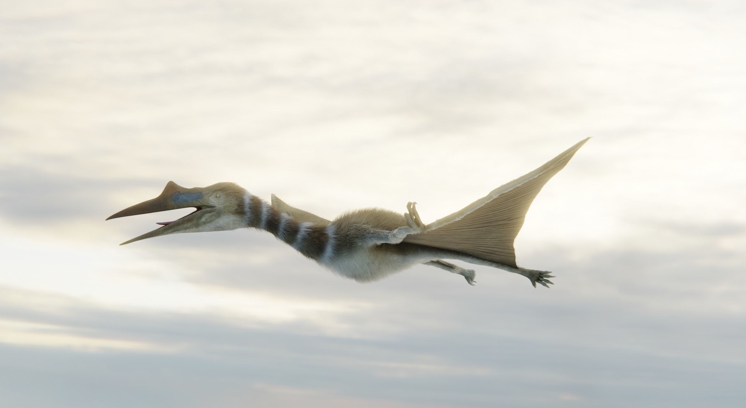 Monster Quetzalcoatlus - Prehistoric Dinosaur Low-poly 3D model_4