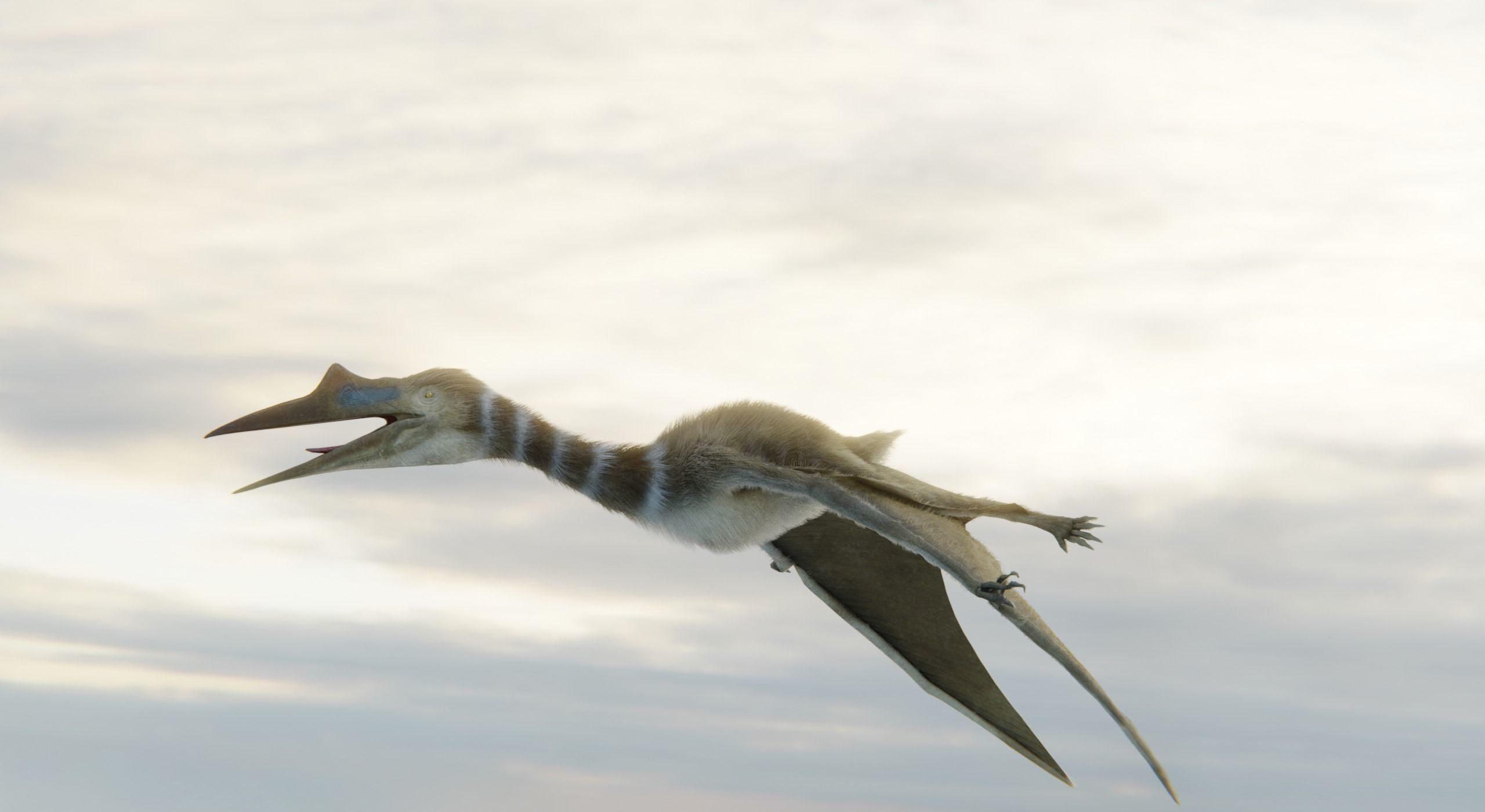 Monster Quetzalcoatlus - Prehistoric Dinosaur Low-poly 3D model_5