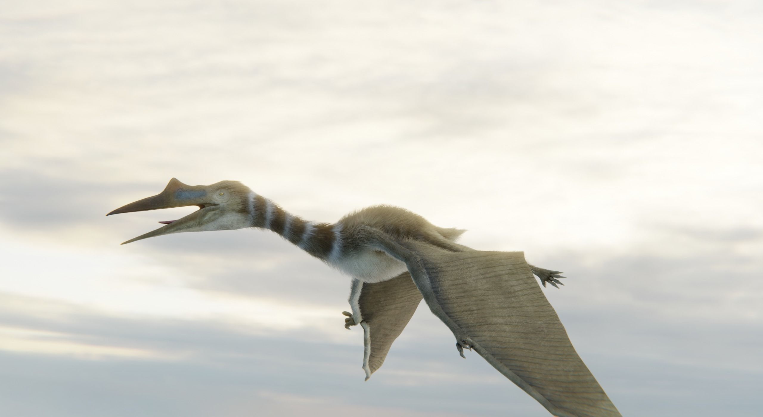 Monster Quetzalcoatlus - Prehistoric Dinosaur Low-poly 3D model_25