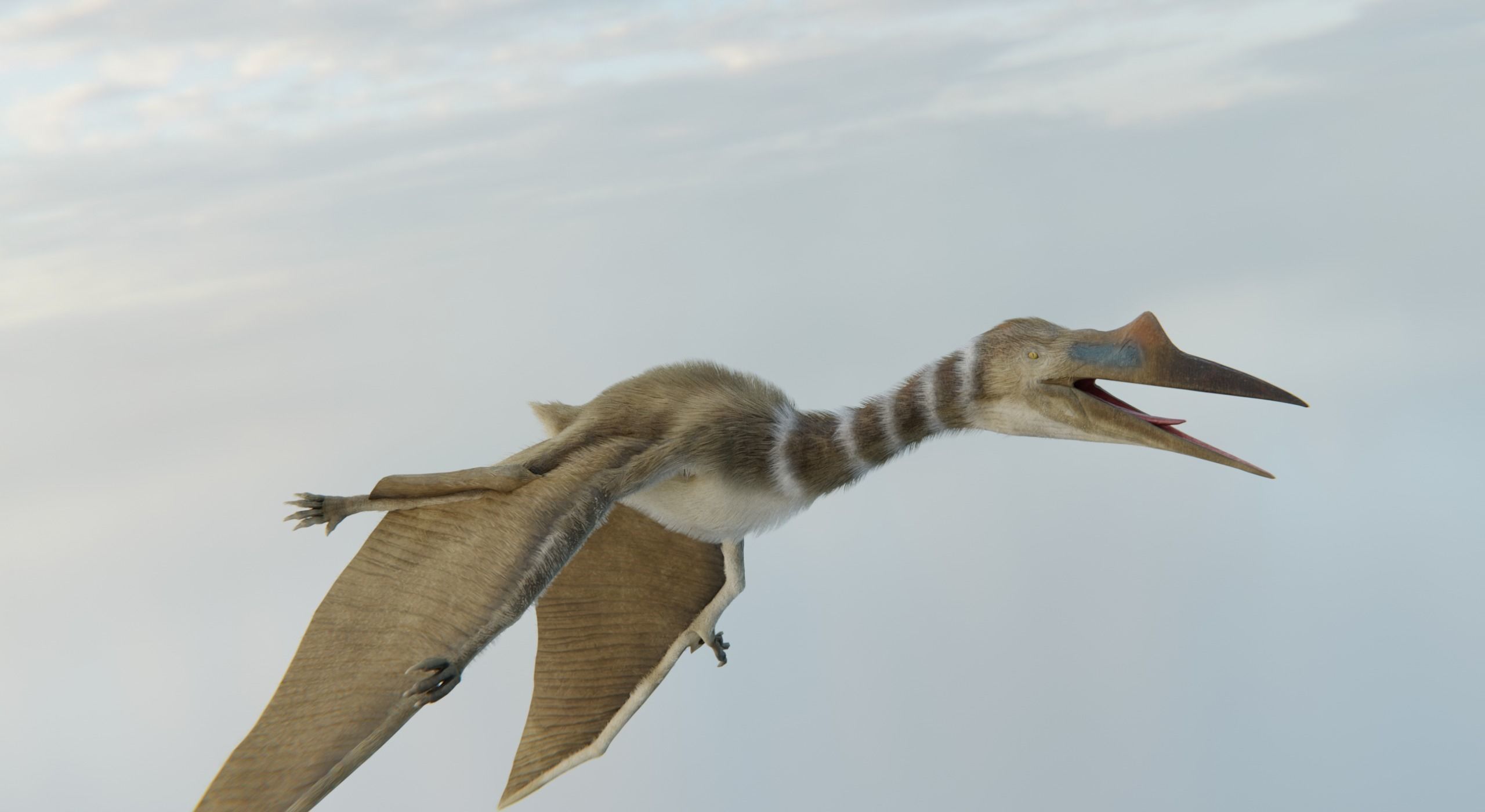 Monster Quetzalcoatlus - Prehistoric Dinosaur Low-poly 3D model_8