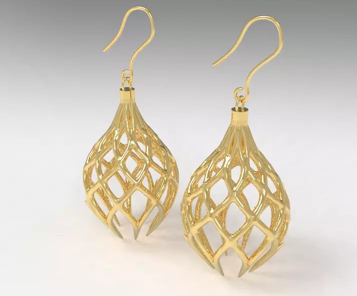 Cage Earrings 3D print model