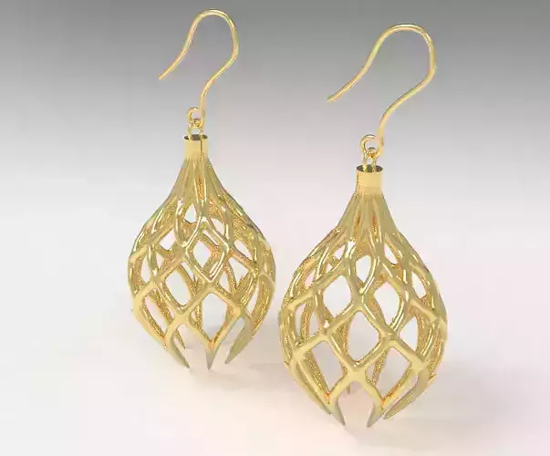 Cage Earrings