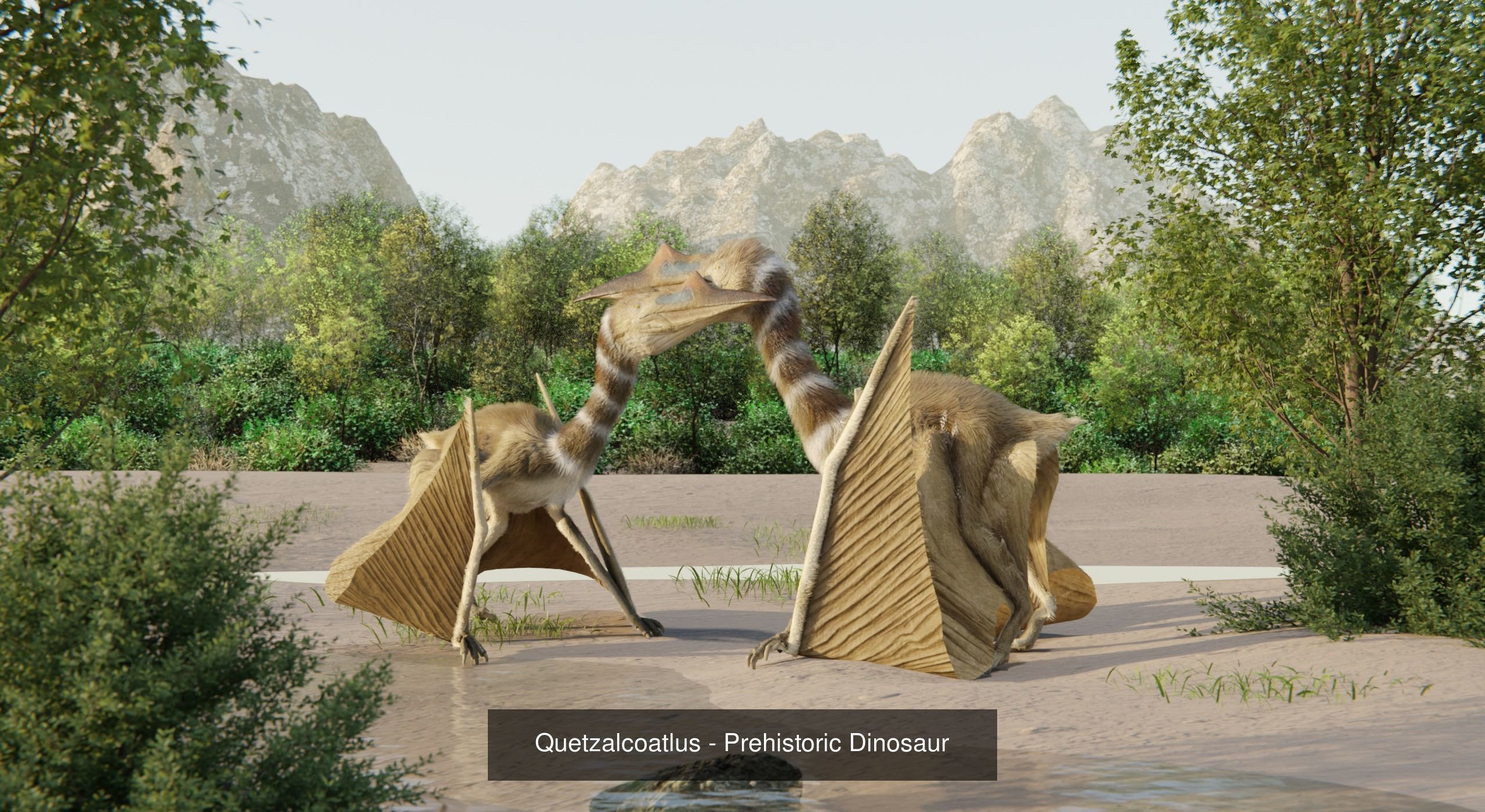 Monster Prehistoric Dinosaur  3D Model Collection_18