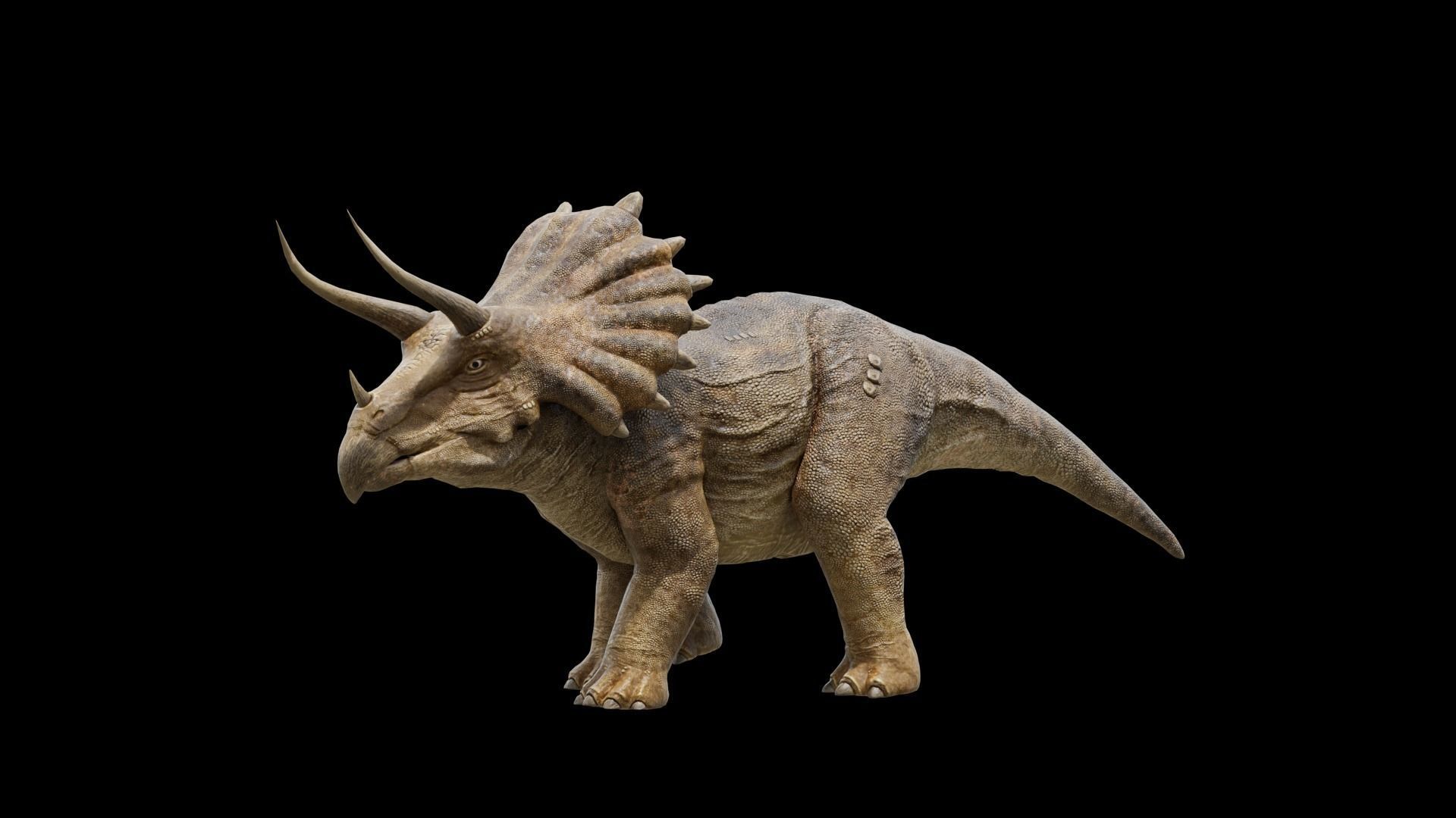 Monster Prehistoric Dinosaur  3D Model Collection_60