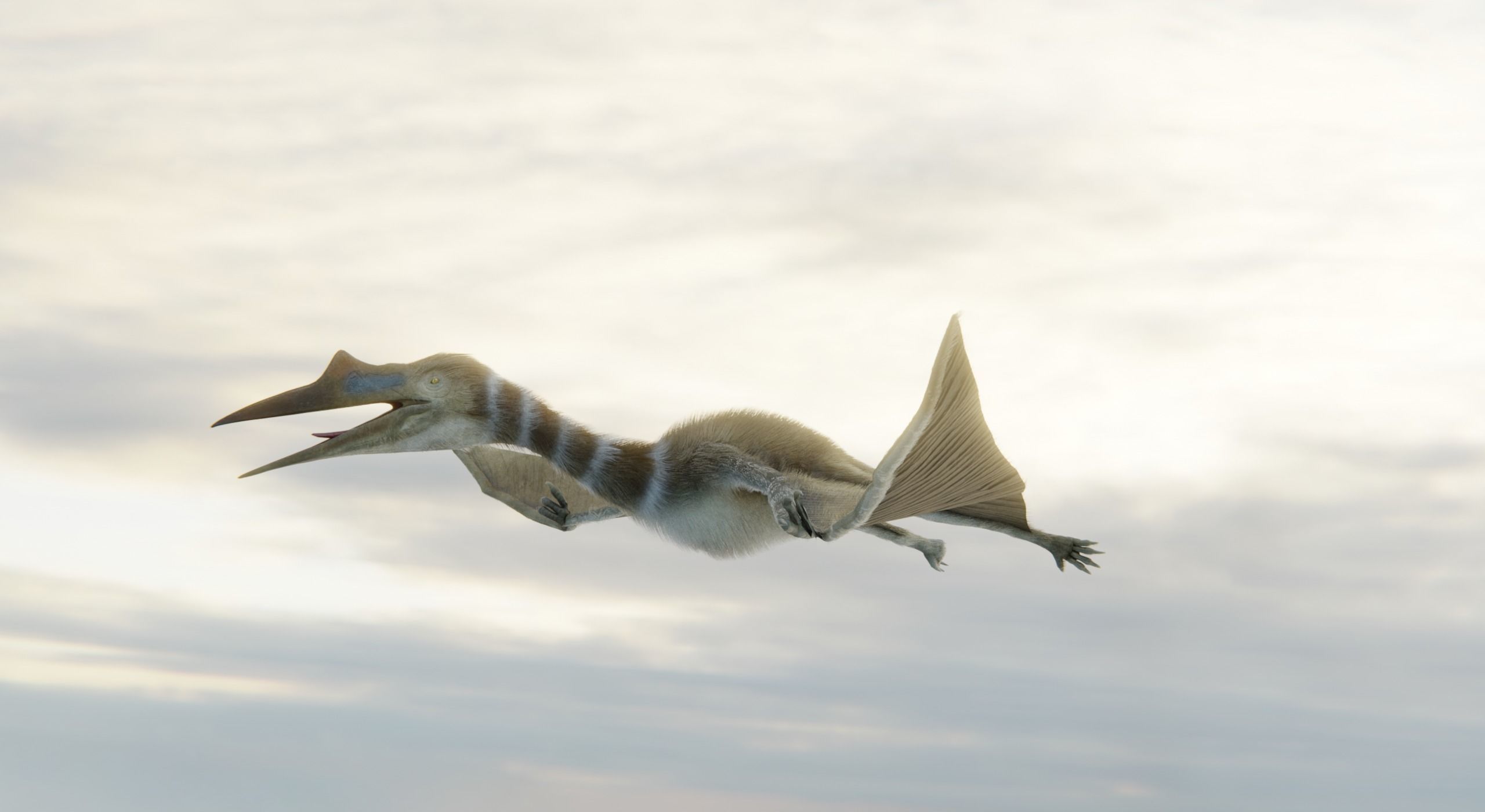 Monster Prehistoric Dinosaur  3D Model Collection_35