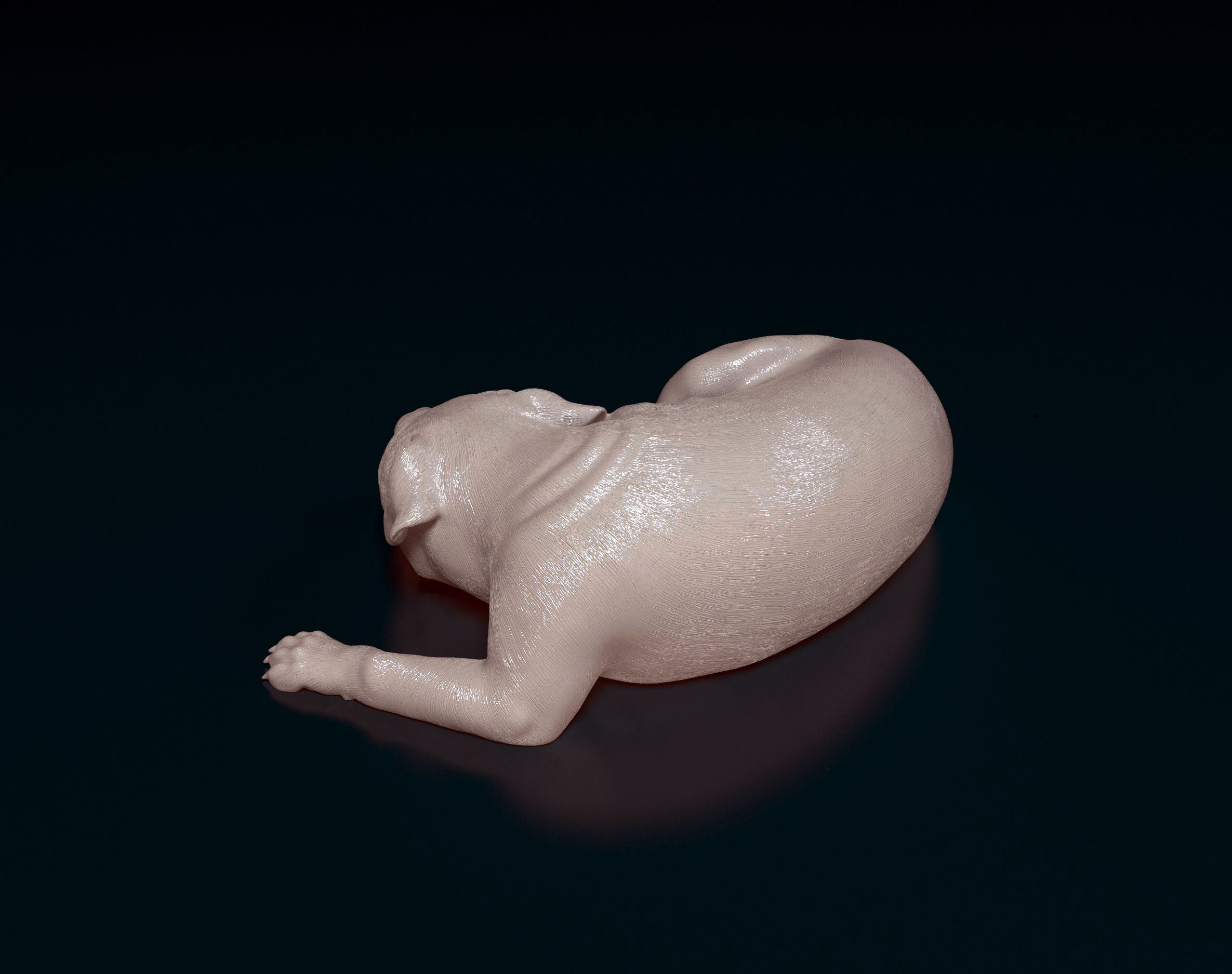 American Pitbull 011 3D print model_4