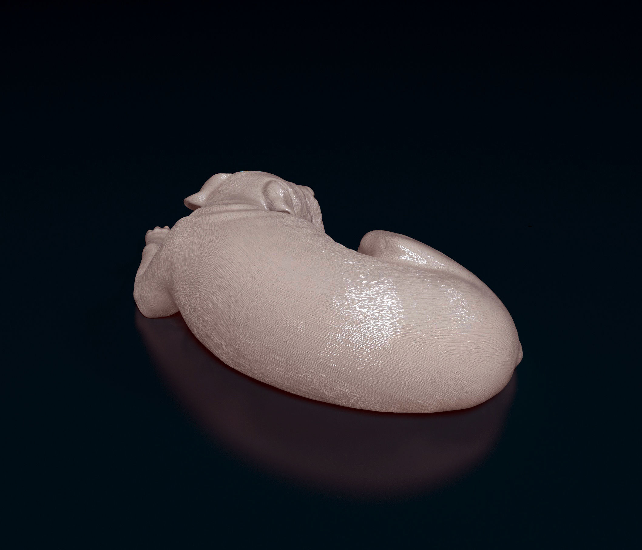 American Pitbull 011 3D print model_3