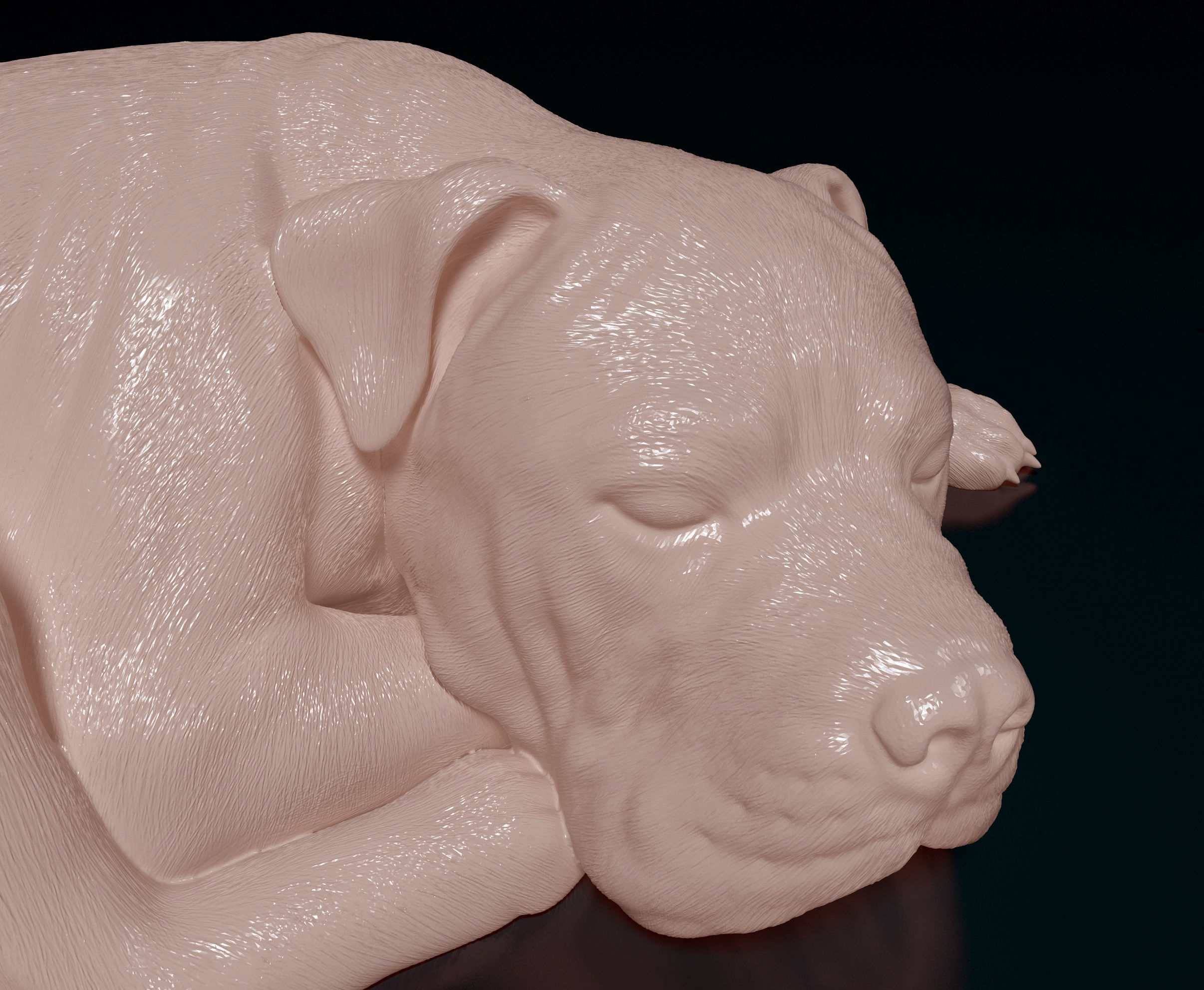American Pitbull 011 3D print model_6