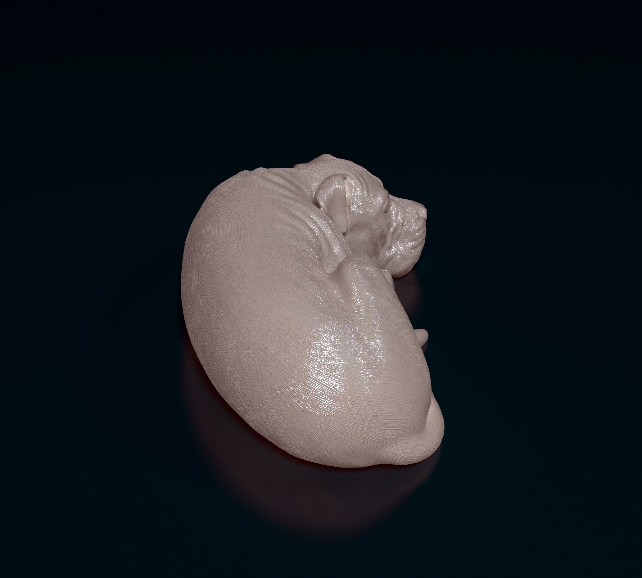 American Pitbull 011 3D print model_2